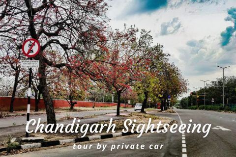 Chandigarh, India 2024: All You Must Know Before You Go - Tripadvisor