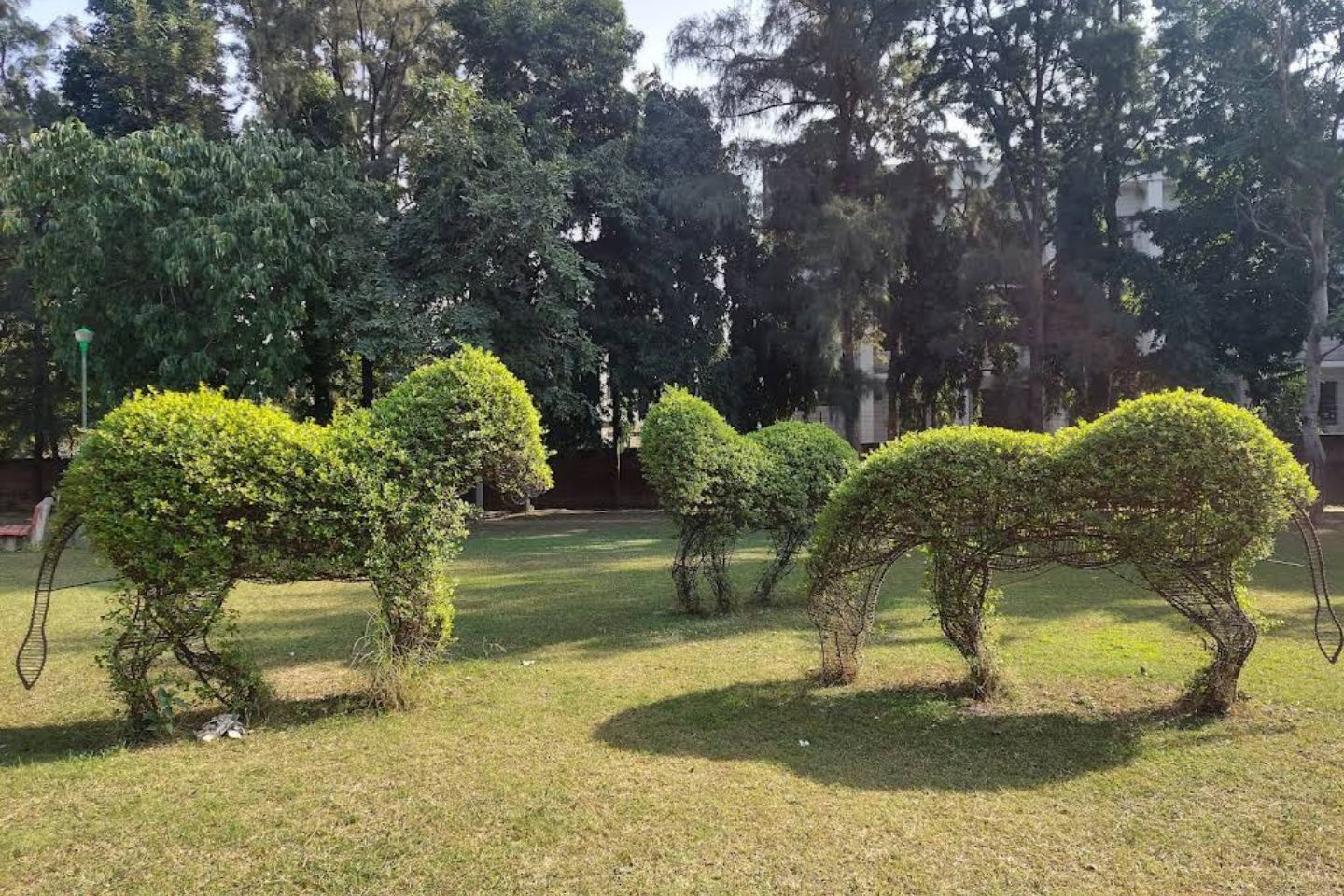 Topiary Park Chandigarh