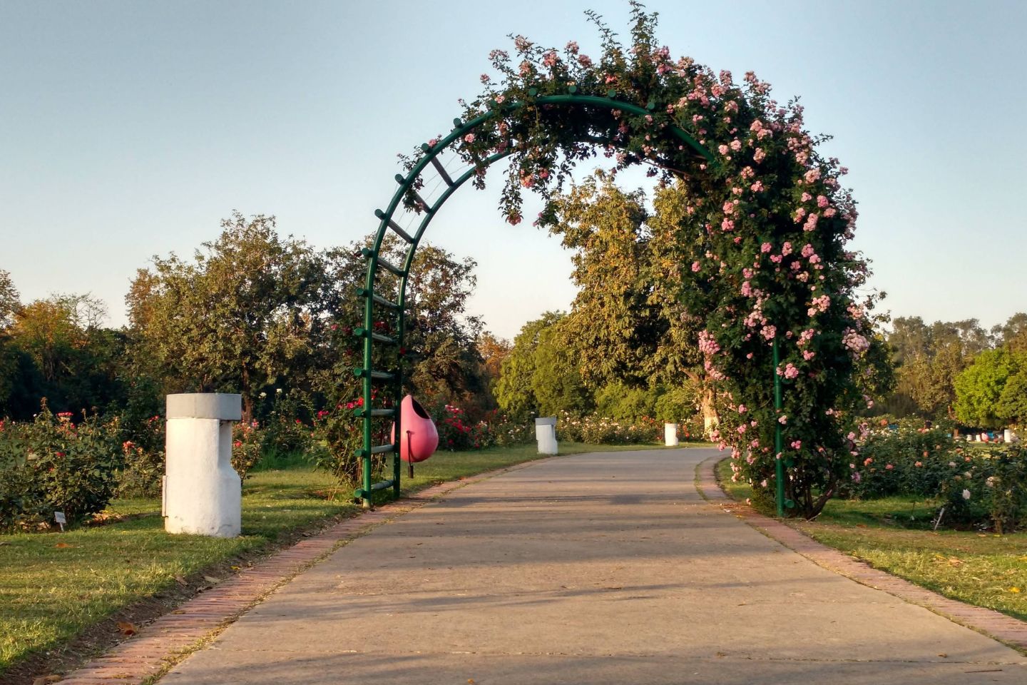 Rose Garden, Chandigarh