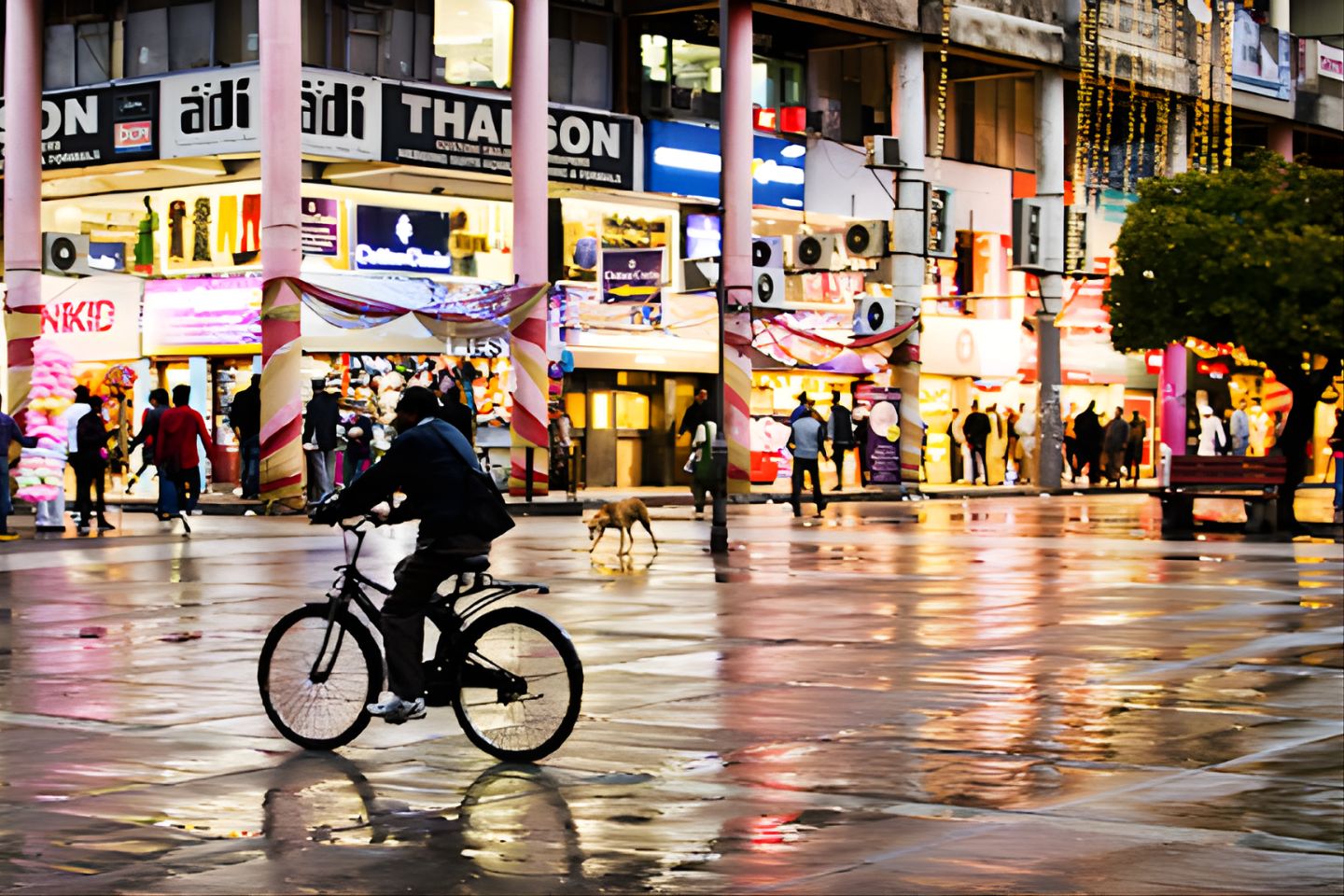 Sector 17 Market, Chandigarh